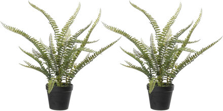 Louis Maes Varen Nephrolepis - 2x stuks - Kunstplant - Groen - 50 cm - Kunstplanten