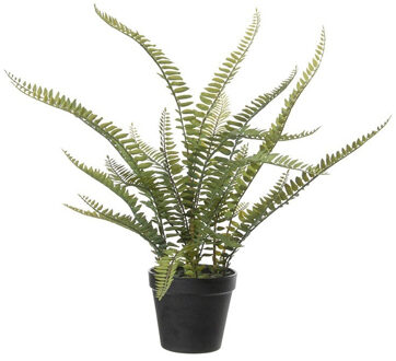 Louis Maes Varen Nephrolepis - Kunstplant - Groen - 50 cm - Kunstplanten