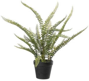 Louis Maes Varen Nephrolepis - Kunstplant - Groen - 50 cm