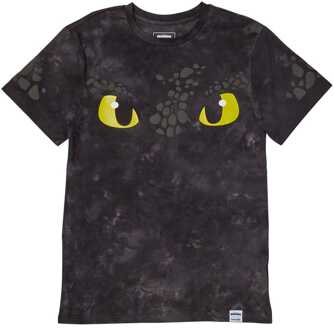 Loungefly Dreamworks by Loungefly Tee T-Shirt Unisex How to Train your Dragon Size XL