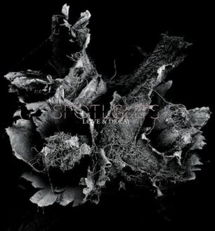 Love & Decay