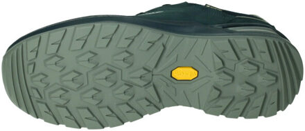 Lowa Renegade evo gtx low Blauw - 45