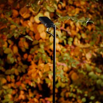 Luceplan LED tuinpadverlichting Flia, 180 cm hoog, zwart, kunststof zwart mat