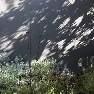 Luceplan LED tuinpadverlichting Flia, 3-lamps, zwart, kunststof zwart mat