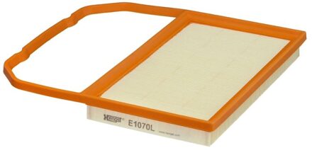 Luchtfilter E1070L