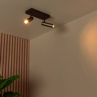 Lucide Plafondspot Grado, lengte 25 cm, grijs, metaal, 2-lamps.