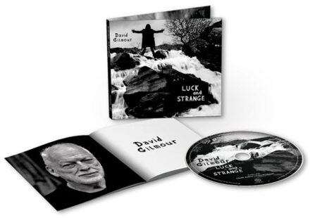 Luck And Strange - David Gilmour
