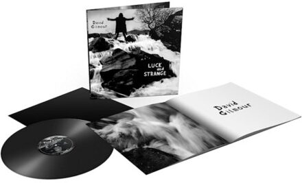 Luck And Strange - David Gilmour