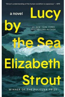 Lucy By The Sea - Elizabeth Strout