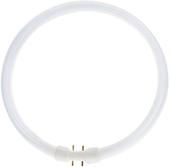 Lumilux T5 FC 22W/840 2GX13 (Koel Wit) 1800lm