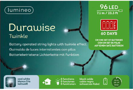 Lumineo 2x stuks kerstverlichting twinkle op batterij helder wit buiten 96 lampjes