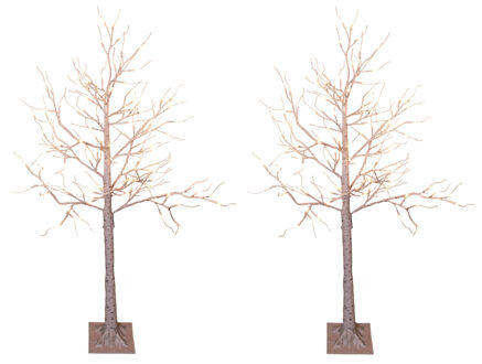 Lumineo 2x stuks verlichte figuren witte lichtboom/metalen boom/berkenboom met 120 led lichtjes 130 cm - kerstverlichting figuur