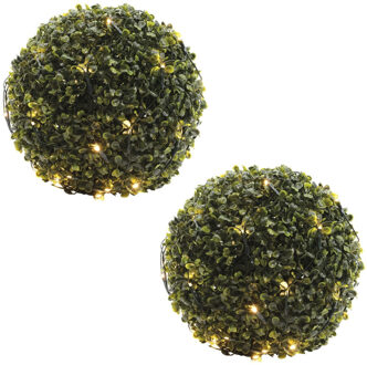 Lumineo Buxus kerstverlichting - 2x stuks - lichtnet - 120 led lampjes - met timer - warm wit - 80 x 80 cm