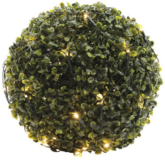 Lumineo Buxus kerstverlichting lichtnetten warm wit 35 x 35 cm Groen