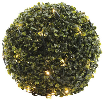Lumineo Buxus kerstverlichting lichtnetten warm wit 50 x 50 cm Groen