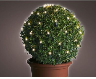 Lumineo Buxus Netverlichting ¯ 50 cm Groen