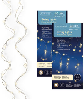 Lumineo Draadverlichting lichtsnoer - 2x - zilver - 40 led lampjes - warm wit - 195 cm - zilverdraad