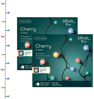 Lumineo feestverlichting - 2x - gekleurd - 120 led lampjes - 9 meter - twinkle - lichtsnoeren