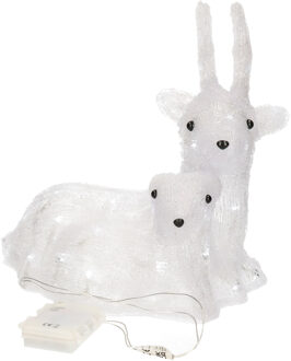 Lumineo Kerstverlichting rendier - LED - buiten - 40 lampjes helder wit - 34 x 25 x 34 cm