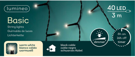 Lumineo Kerstverlichting warm wit buiten 40 lampjes - boomverlichting Zwart