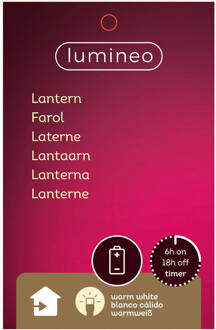 Lumineo LED lantaarn l15.5b15.5h36 cm warm wit kerst