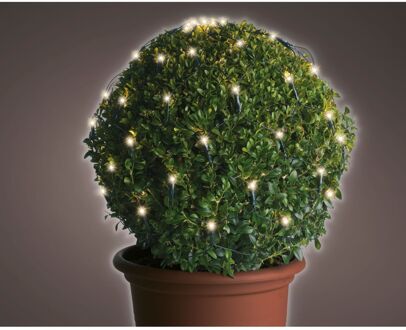 Lumineo LED netverlichting buxus buit/dia80cm-120L/groen/warm wit