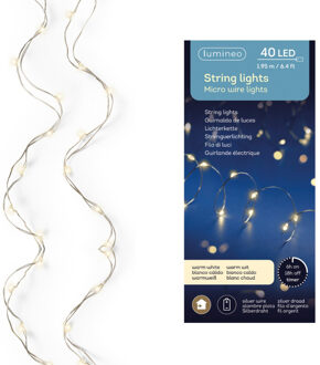 Lumineo LED zilverdraadverlichting 195cm-40L Transparant