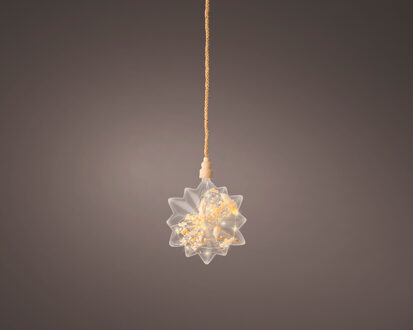 Lumineo Micro Led Ster met droogbloemen Ø 19cm transparant