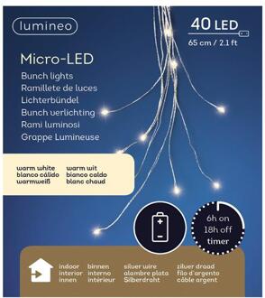 Lumineo Micro LED streng 65cm-40L zilver/warmwit Kerstartikelen