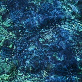 Luminescent Creatures - Ichiko Aoba