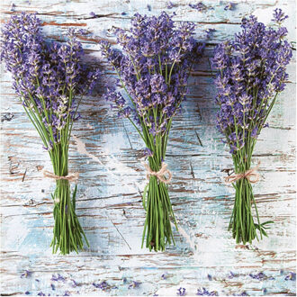lunch/diner servetten - 20x st - 33 x 33 cm - lavendel - feestservetten