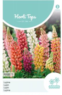 Lupine Bloemzaad - Russell's Minarette - Gemengd