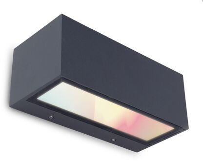 Lutec Connect Wandlamp Gemini Antraciet 13w