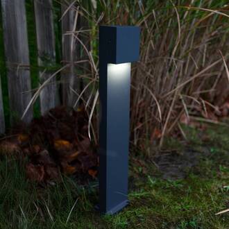 Lutec LED tuinpadverlichting Gemini FX, IP54, antraciet