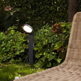 Lutec LED tuinpadverlichting Polo gegoten aluminium antraciet, wit