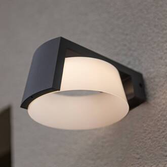 Lutec Moon LED buiten wandlamp, antraciet, CCT, IP44 antraciet, wit