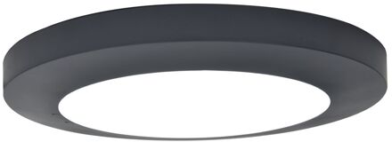 Lutec Plafondlamp Kayah Donkergrijs ⌀30,5cm 16,5w