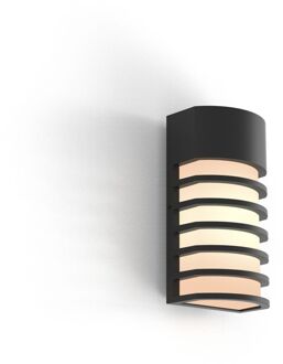 Lutec Wandlamp Fulton Zwart E27