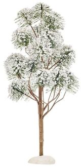 Luville Mountain Pine - 30x15 cm