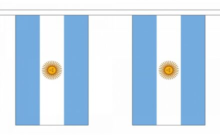 Luxe argentinie vlaggenlijn 9 m