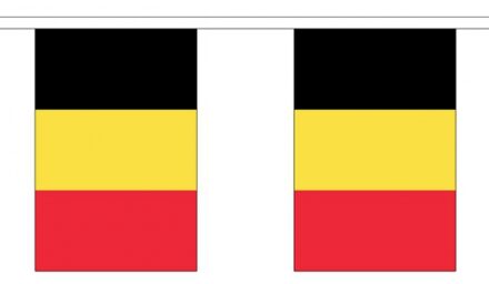 Luxe Belgische vlaggenlijn 3 meter