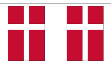 Luxe Denemarken vlaggenlijn 3 meter