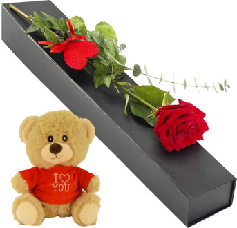 Luxe geschenkdoos met rode roos + knuffelbeertje