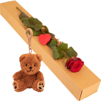Luxe geschenkdoos met rode roos + sleutelhanger knuffelbeertje