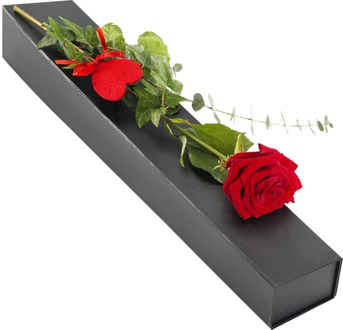 Luxe geschenkdoos met rode roos