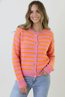 Luxe Gestreepte Cardigan Roze Oranje Oranje/Roze