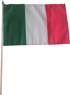 Luxe grote zwaaivlaggen Italie - 30 x 45 cm - op lange stok - feestartikelen Multi