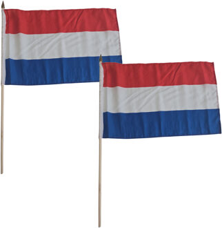 Luxe grote zwaaivlaggen Nederland - 2x - 30 x 45 cm - op lange stok - feestartikelen