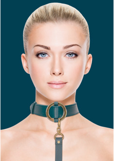 Luxe Halsband met Leash