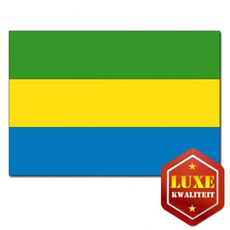 Luxe kwaliteit Gabonese vlaggen Multi